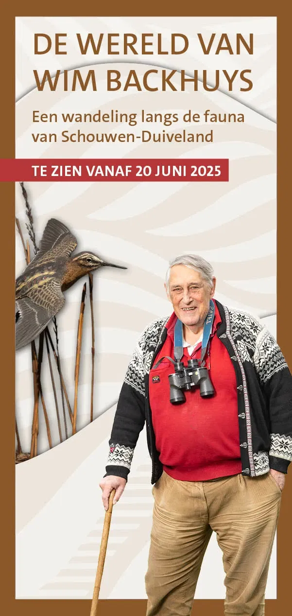 De Wereld van Wim Backhuys