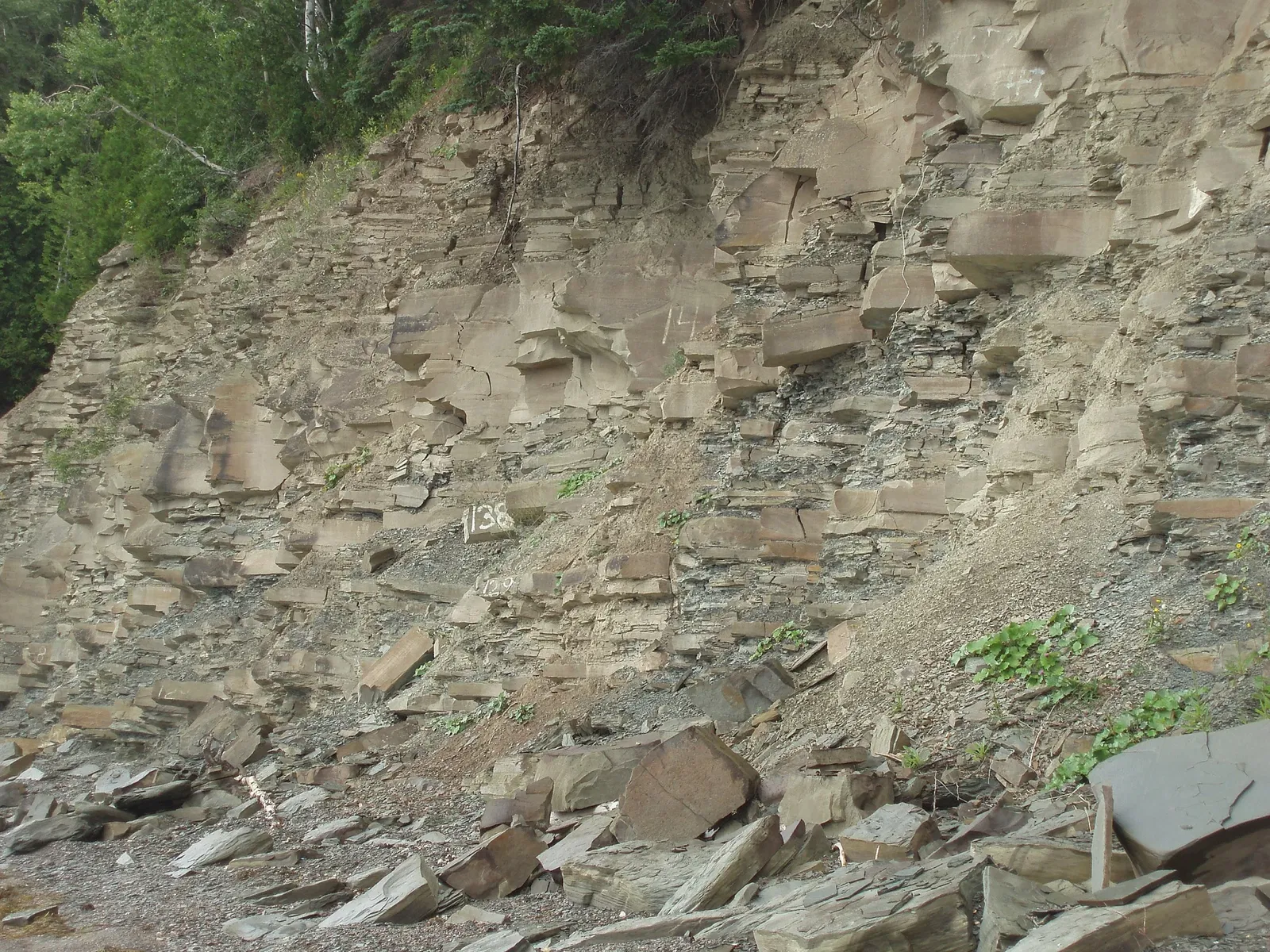 Miguasha National Park