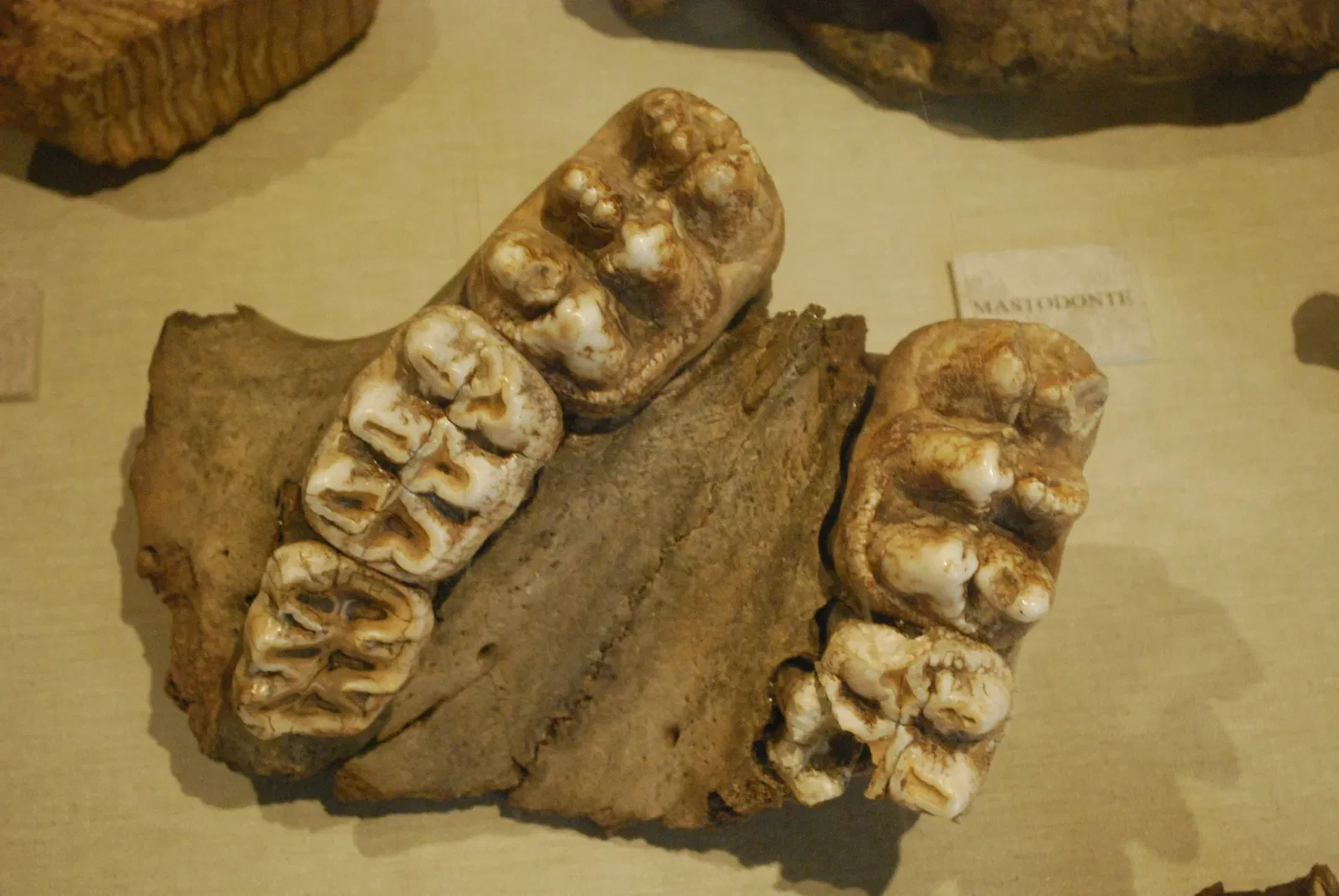 The Palace of Cortés