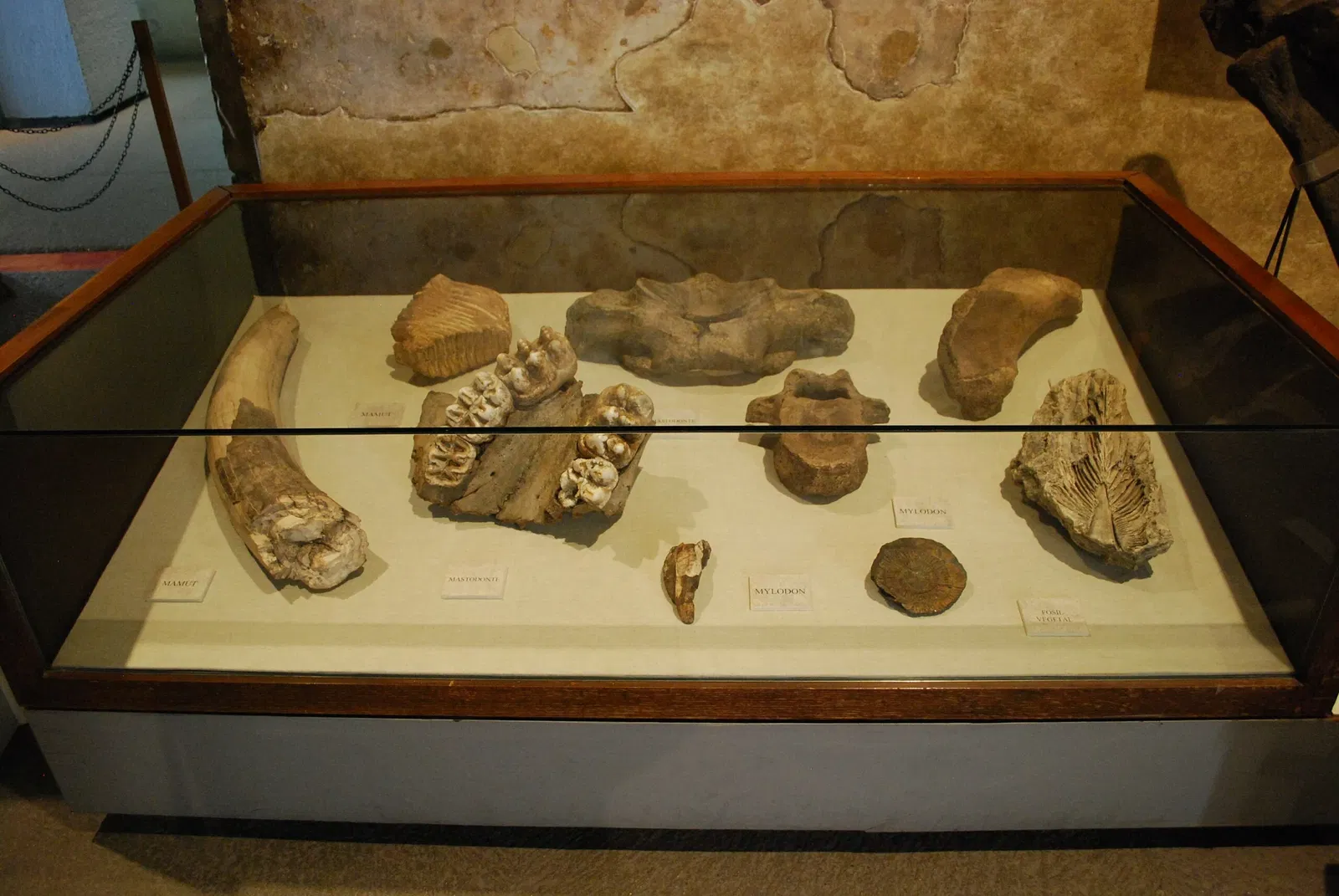 The Palace of Cortés