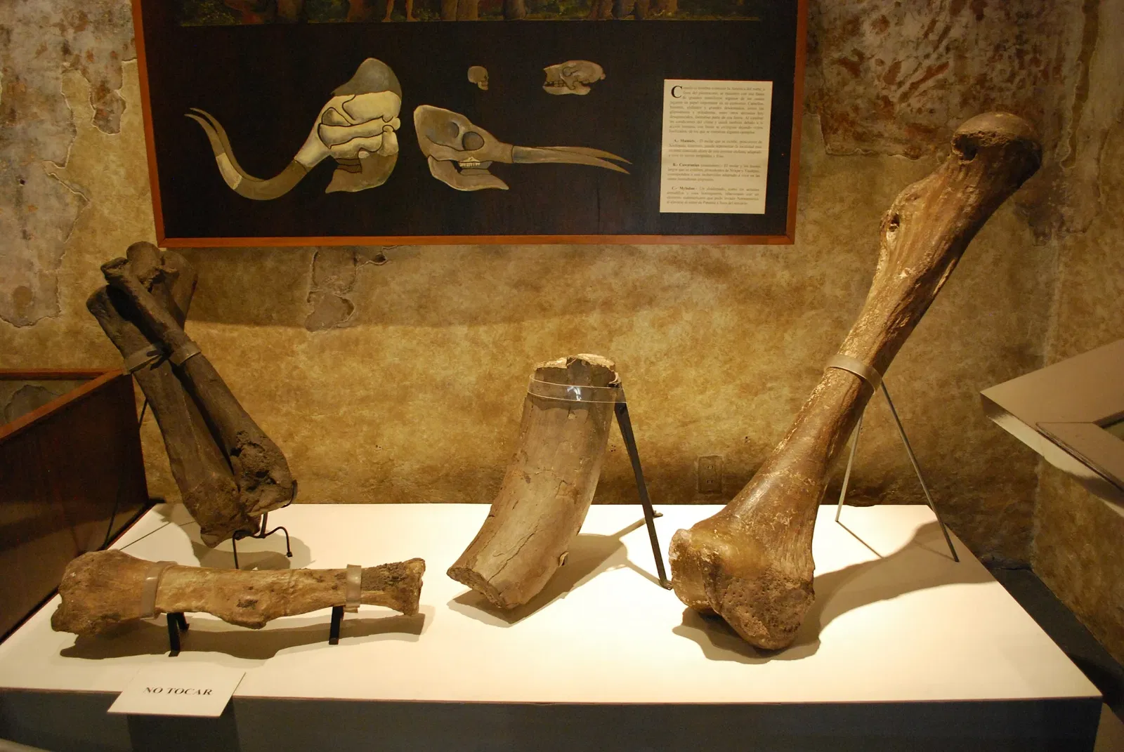 The Palace of Cortés