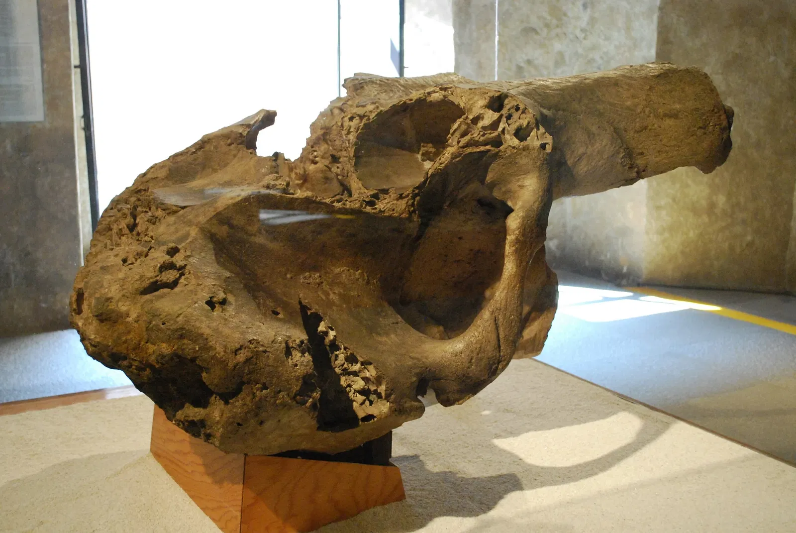 Palais des Cortés (Cuernavaca)