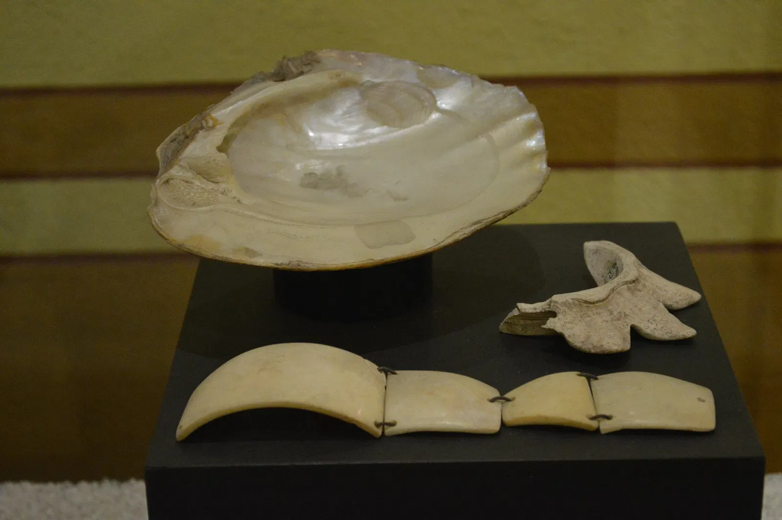 Museo Regional Potosino