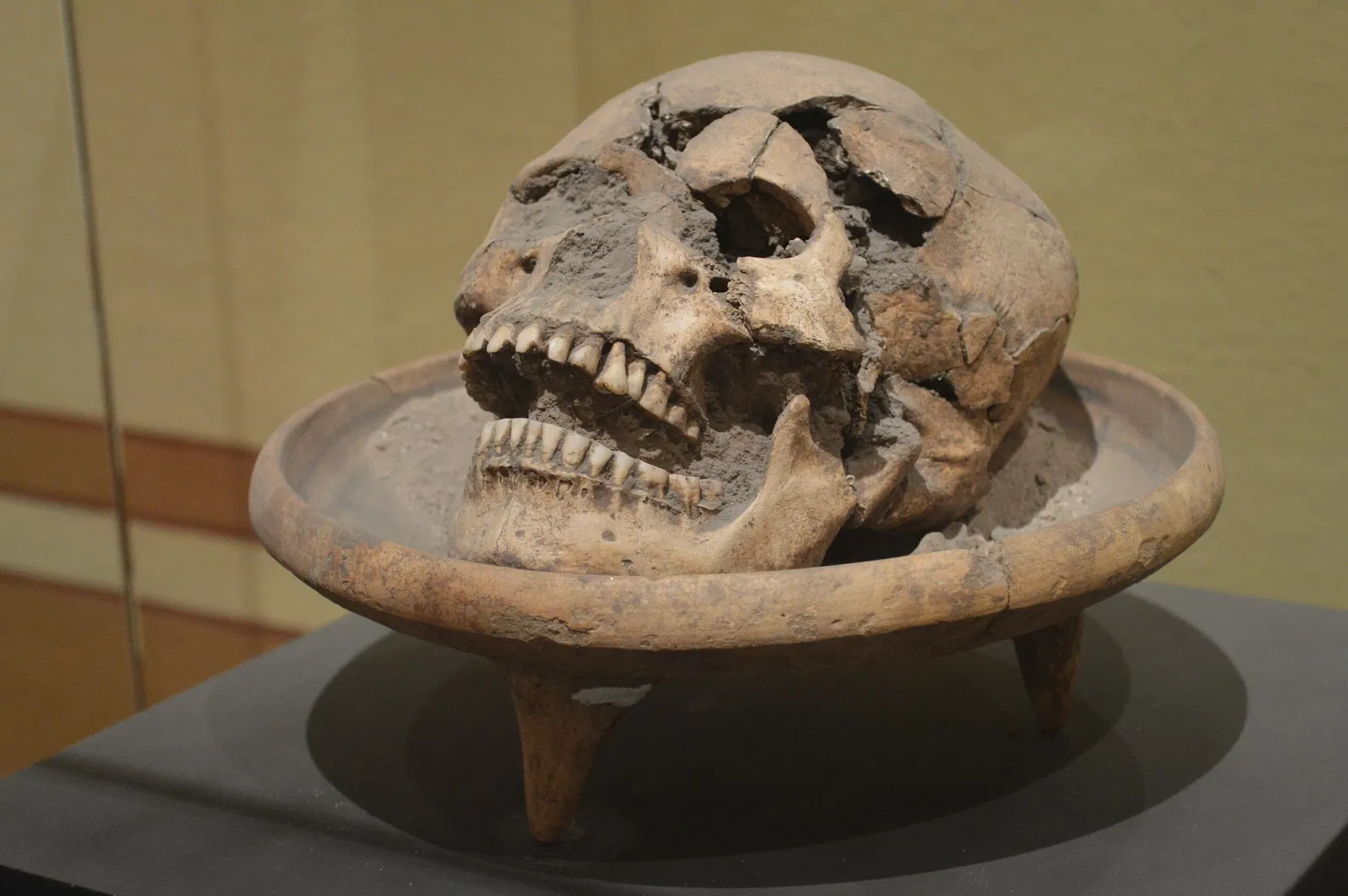 Museo Regional Potosino