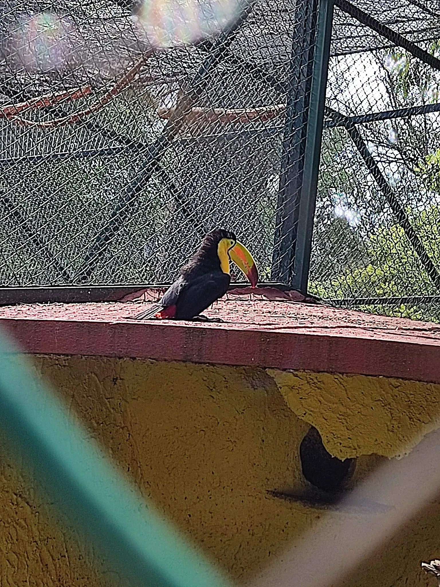 Zoológico Benito Juárez