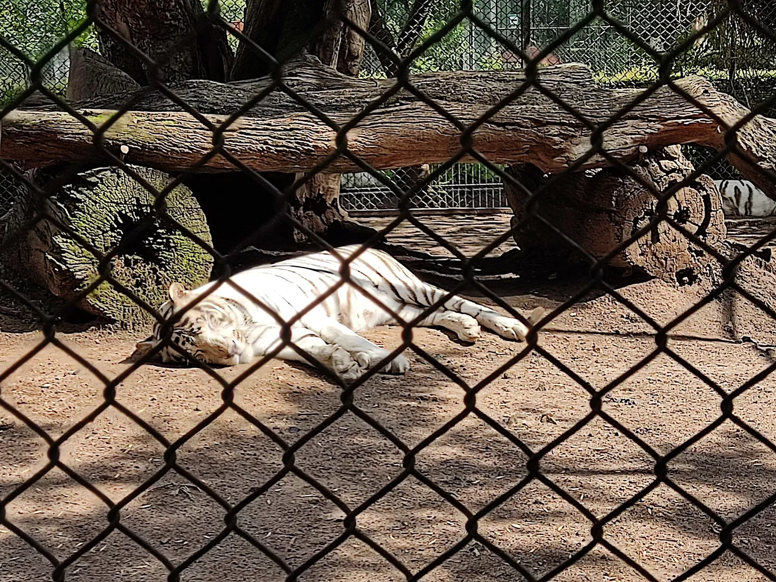 Parcs zoologiques dans le monde