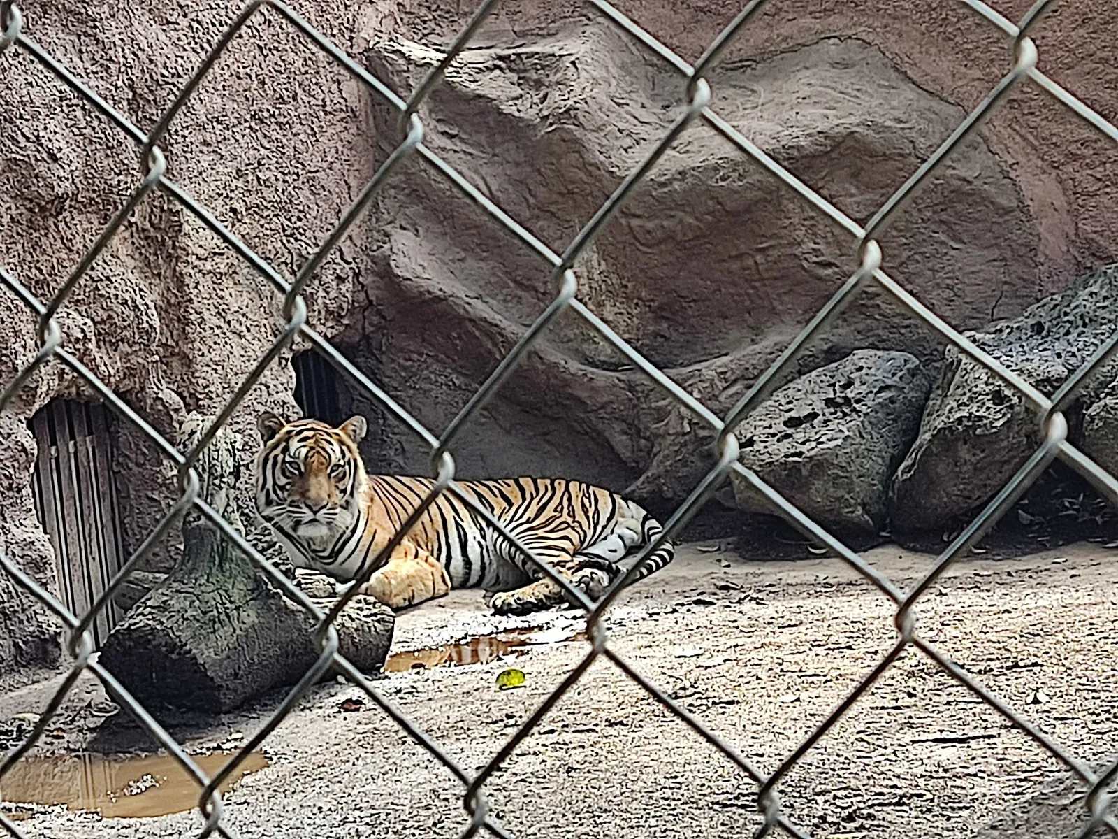 Liste zoologischer Gärten
