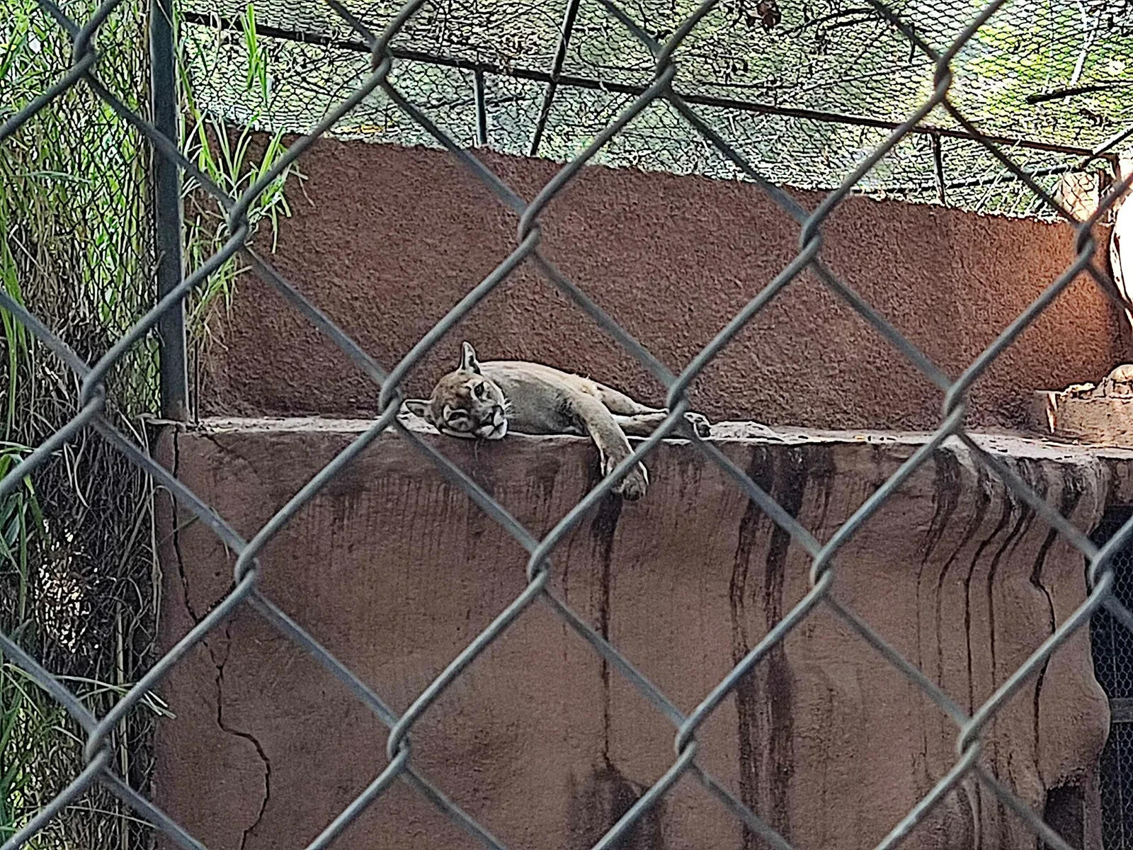 Zoológico Benito Juárez