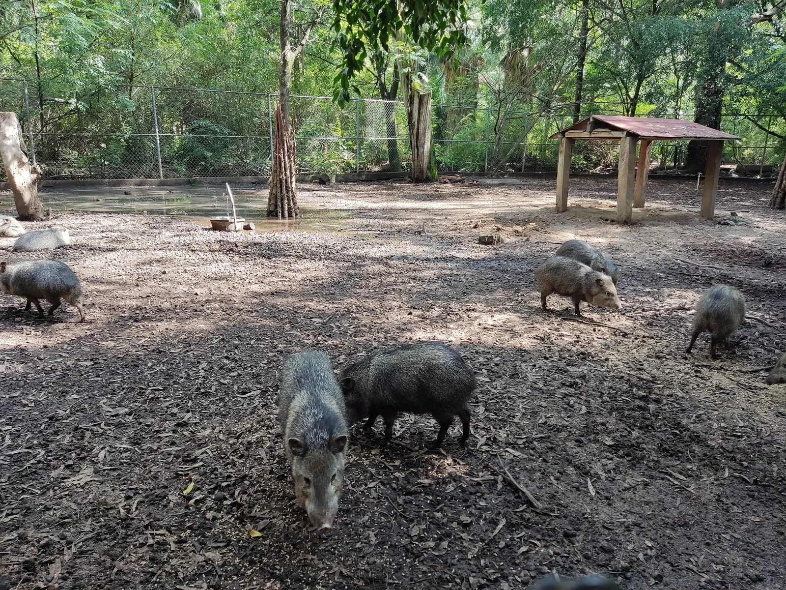 List of zoos by country