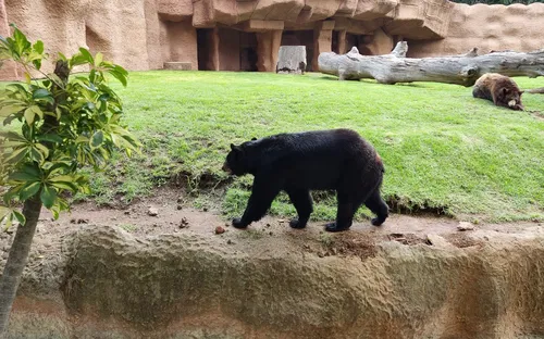 List of zoos by country