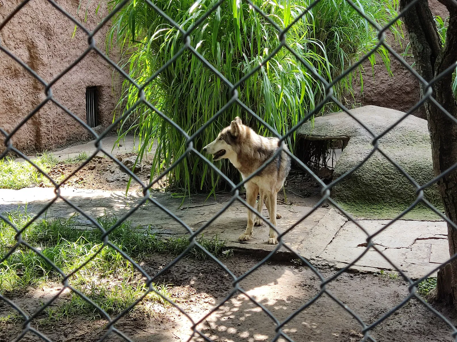 Zoológico Benito Juárez