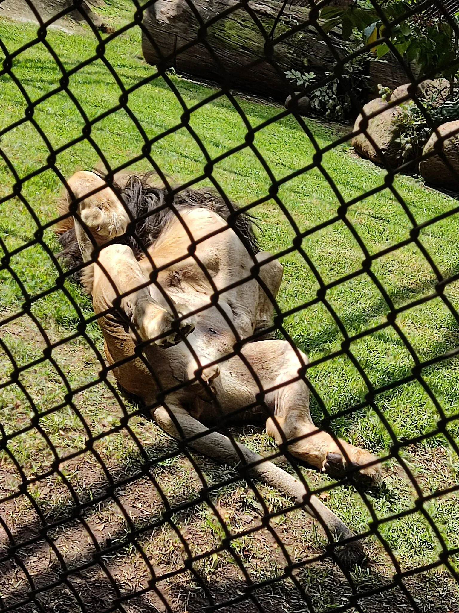 Parcs zoologiques dans le monde