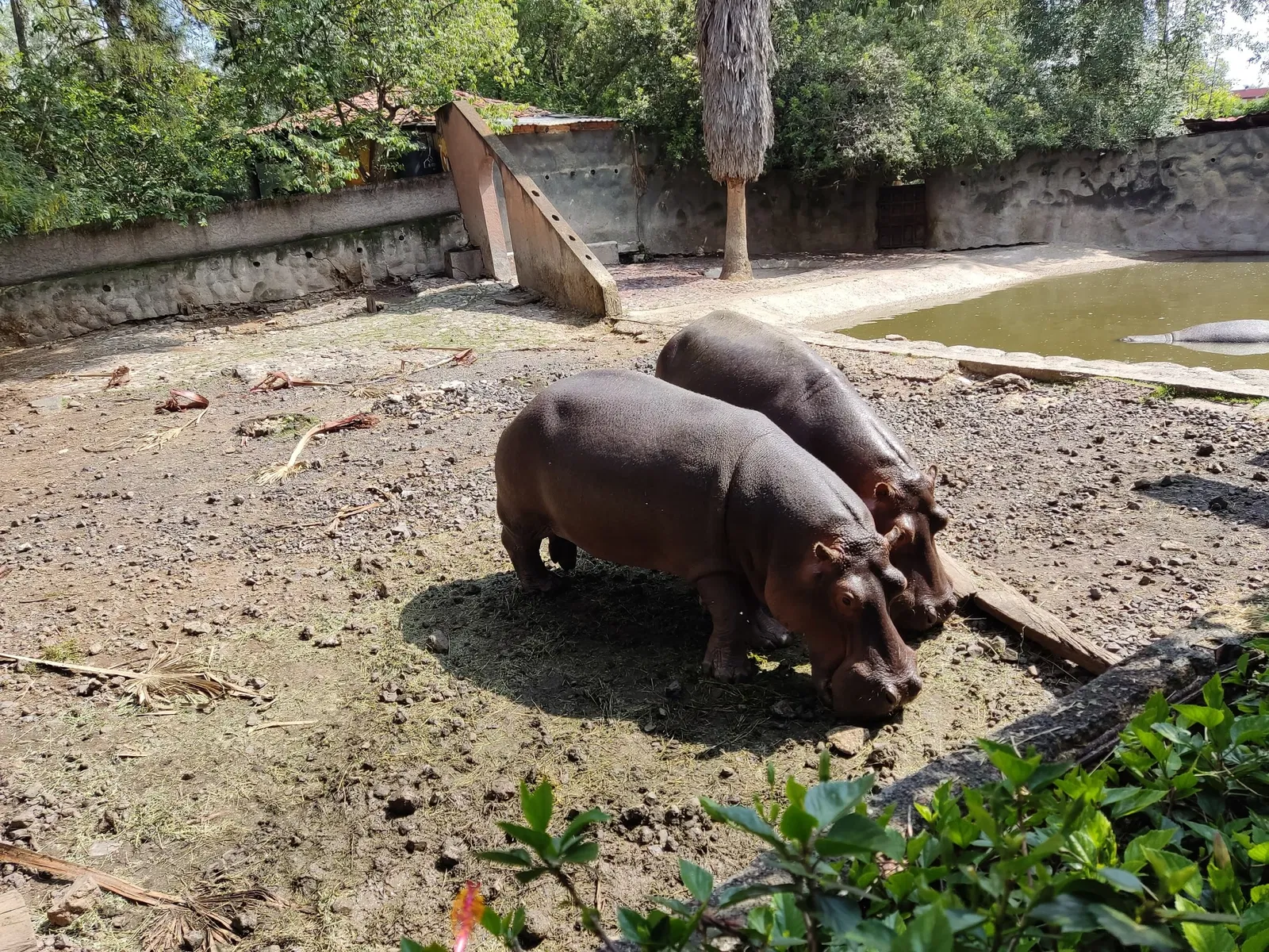 List of zoos by country