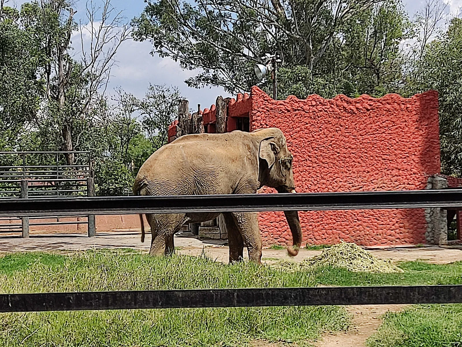 Zoológico Benito Juárez