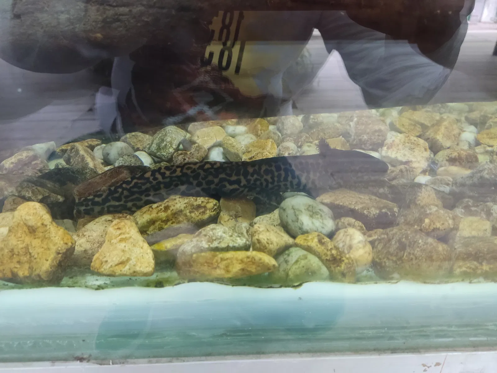 Liste zoologischer Gärten