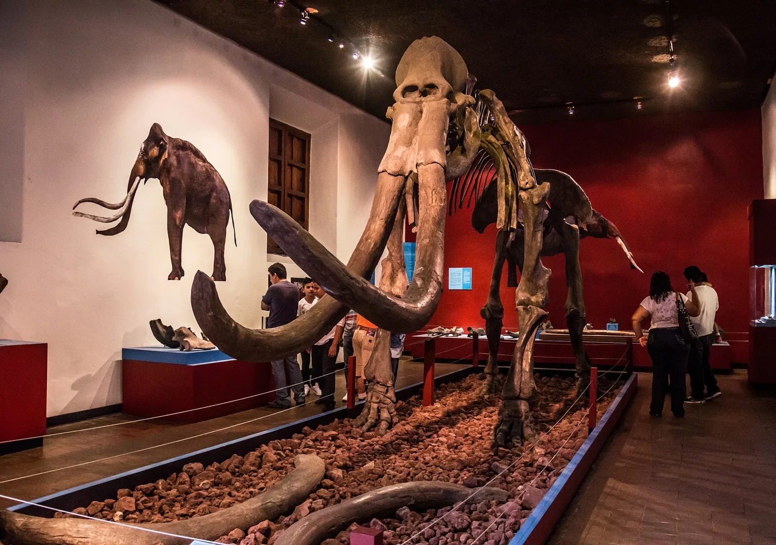 Museo Regional de Guadalajara