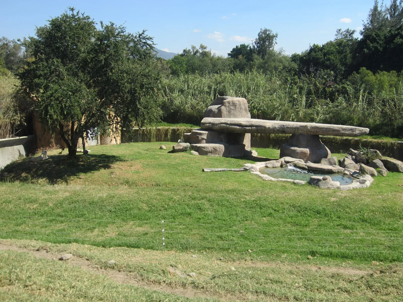 Zoológico Guadalajara