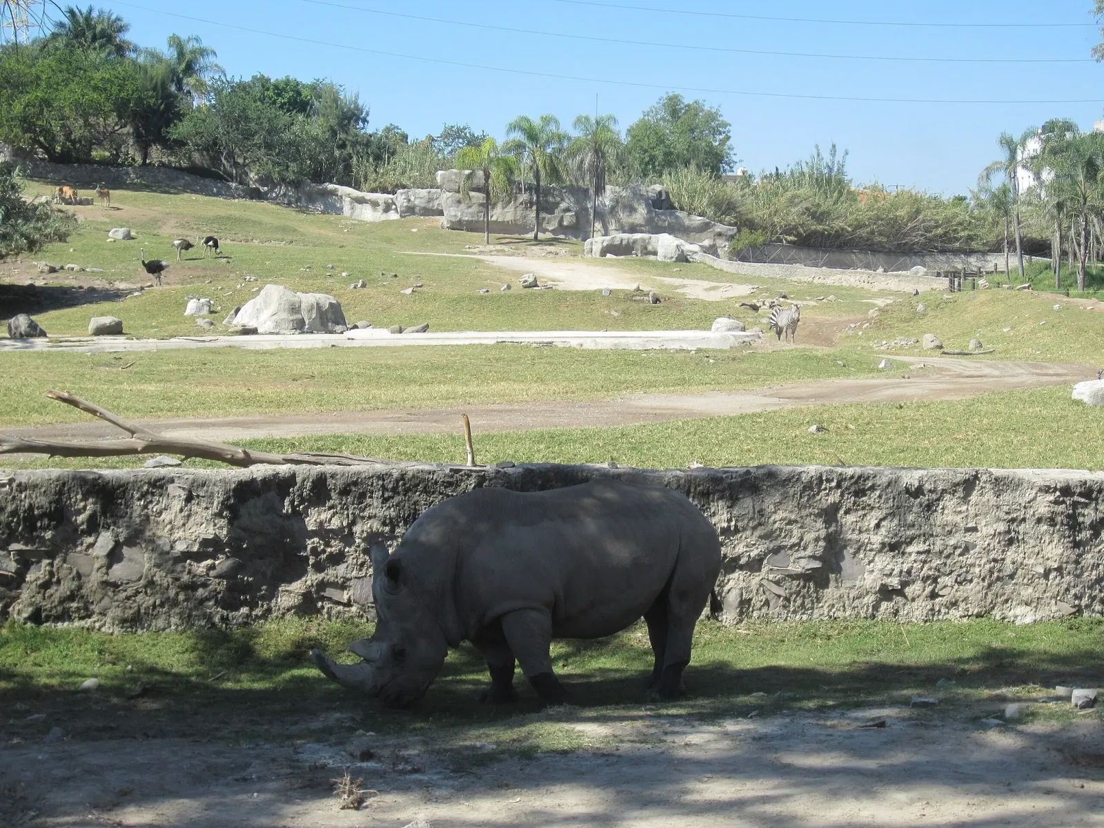 Guadalajara Zoo