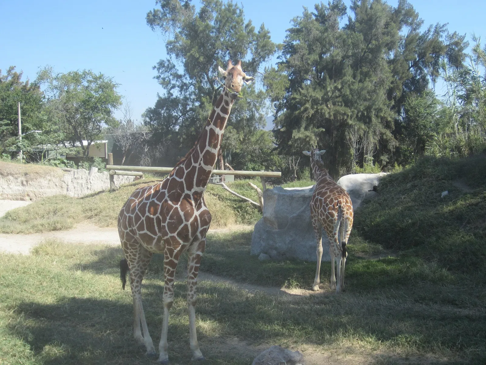 Guadalajara Zoo
