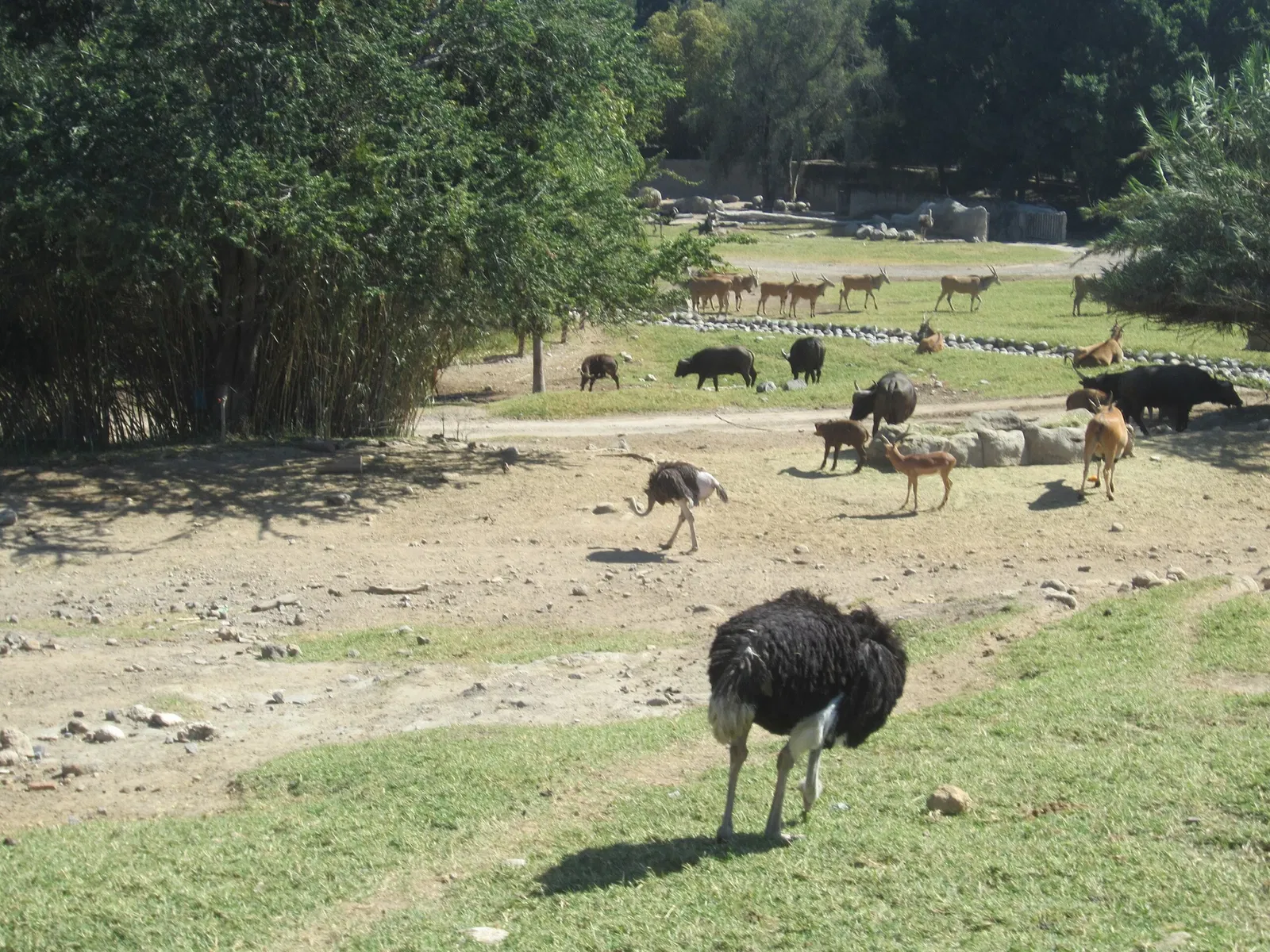 Guadalajara Zoo