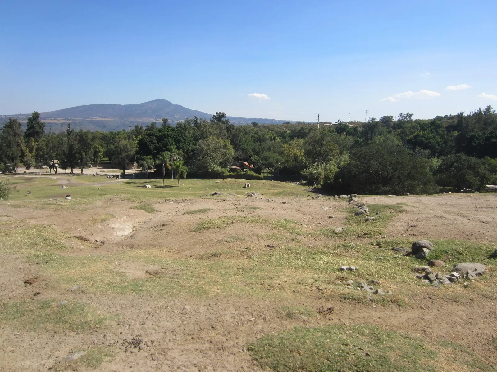Zoológico Guadalajara