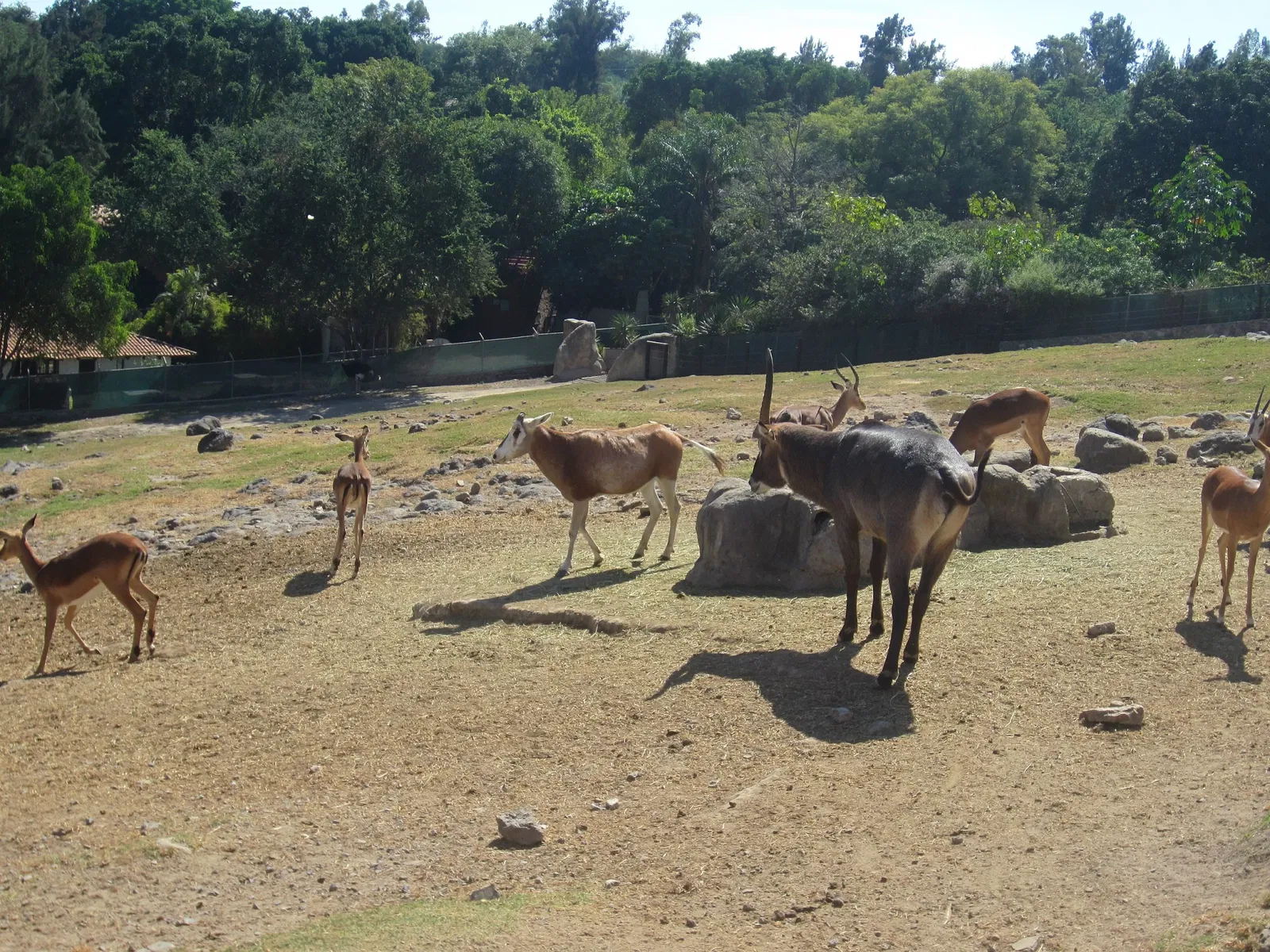Zoológico Guadalajara