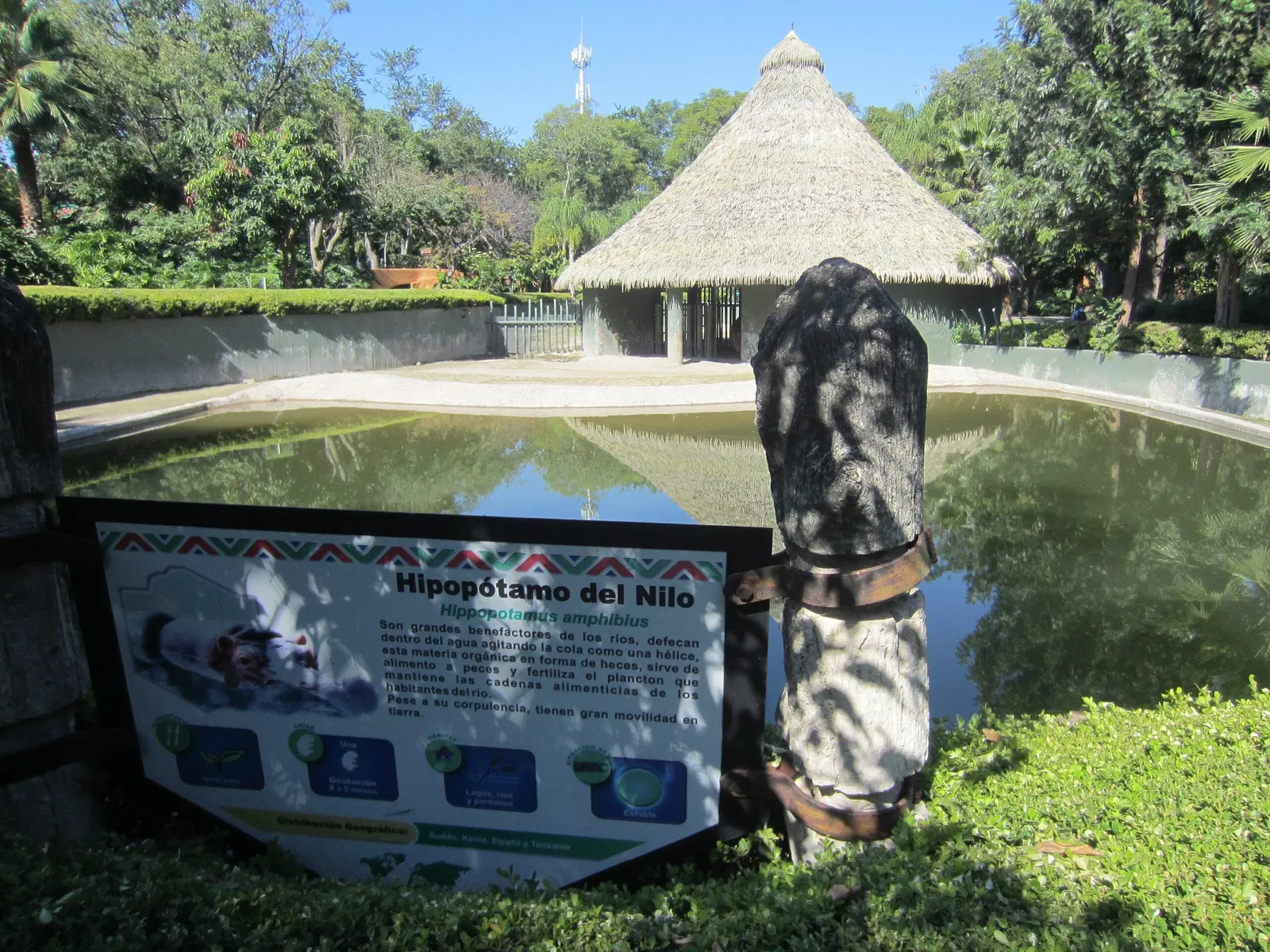 Guadalajara Zoo