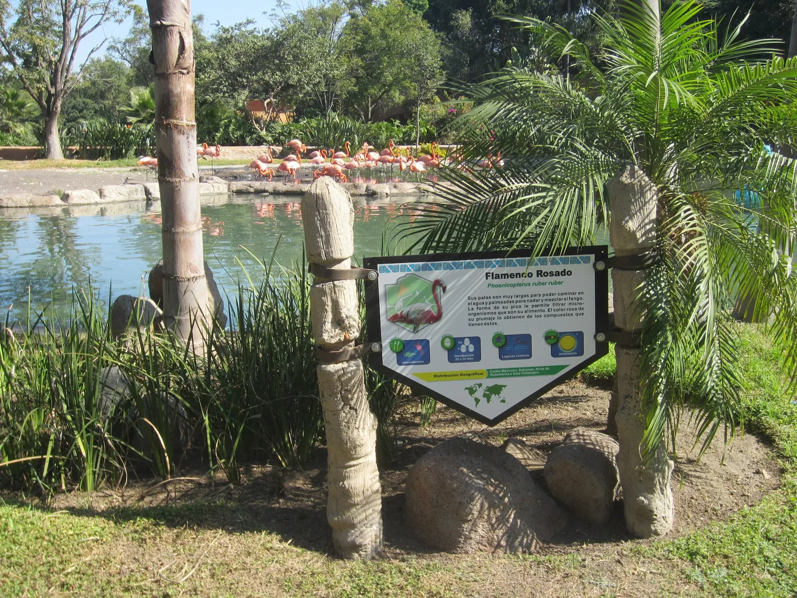 Zoológico Guadalajara