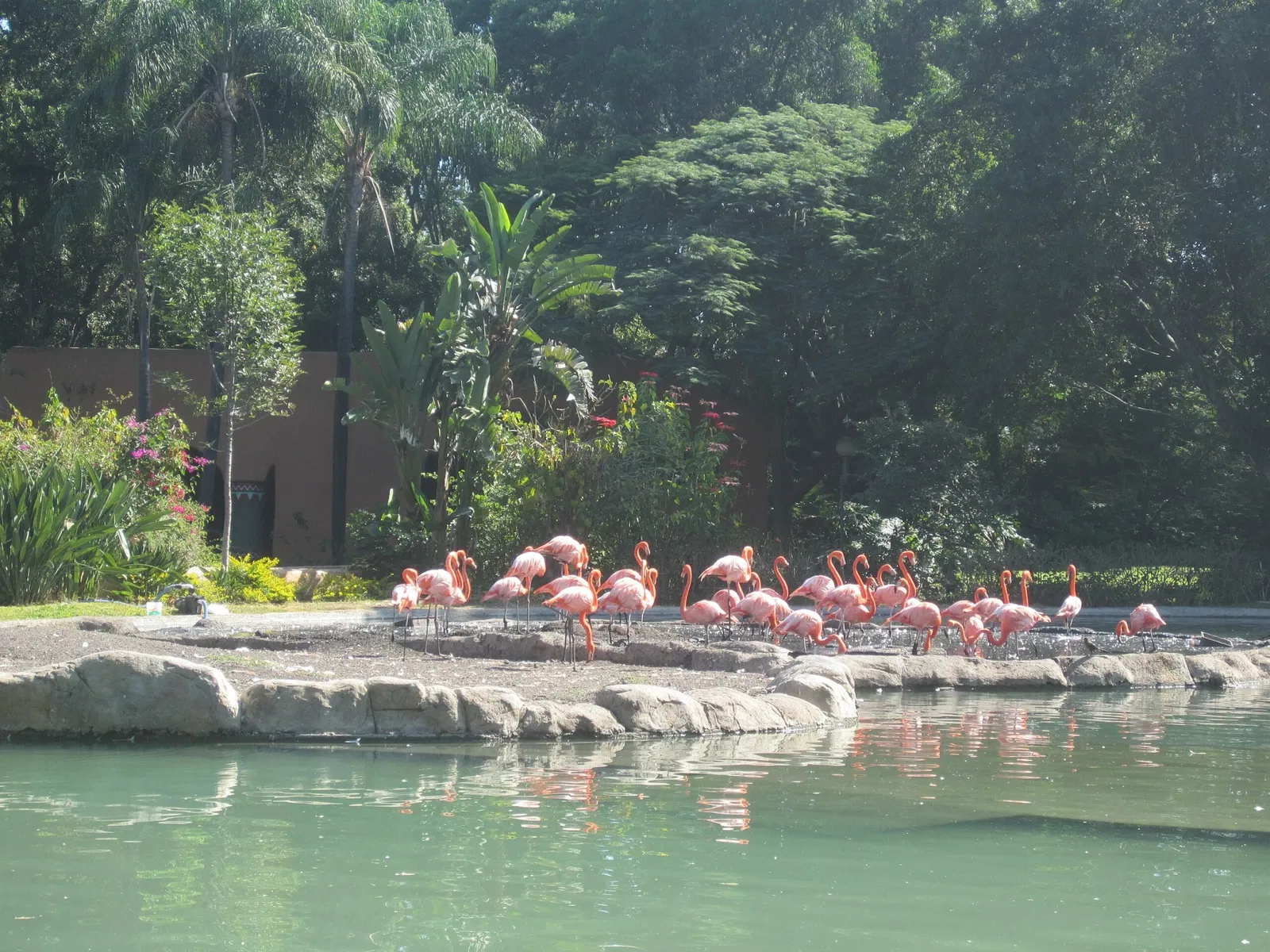 Guadalajara Zoo