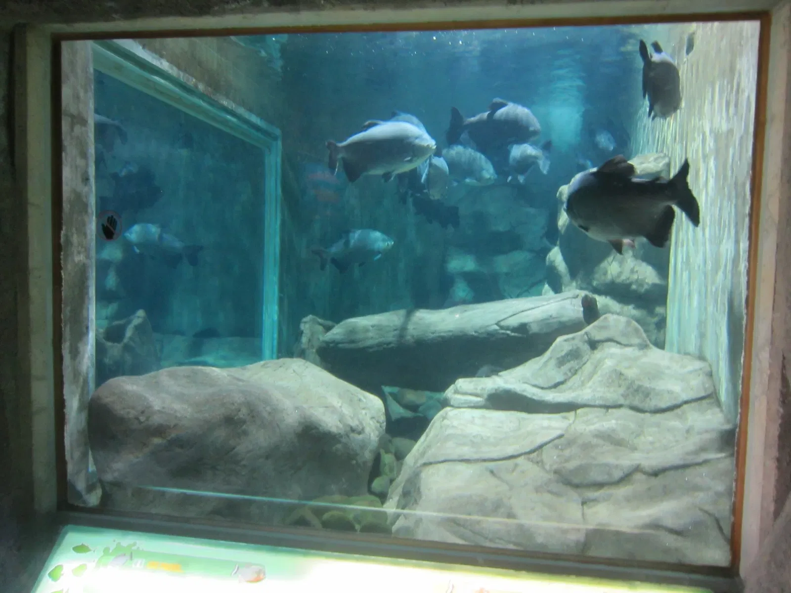 Zoológico Guadalajara