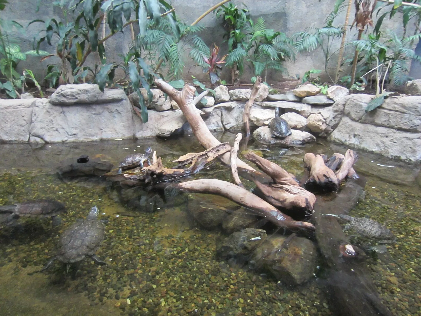 Guadalajara Zoo