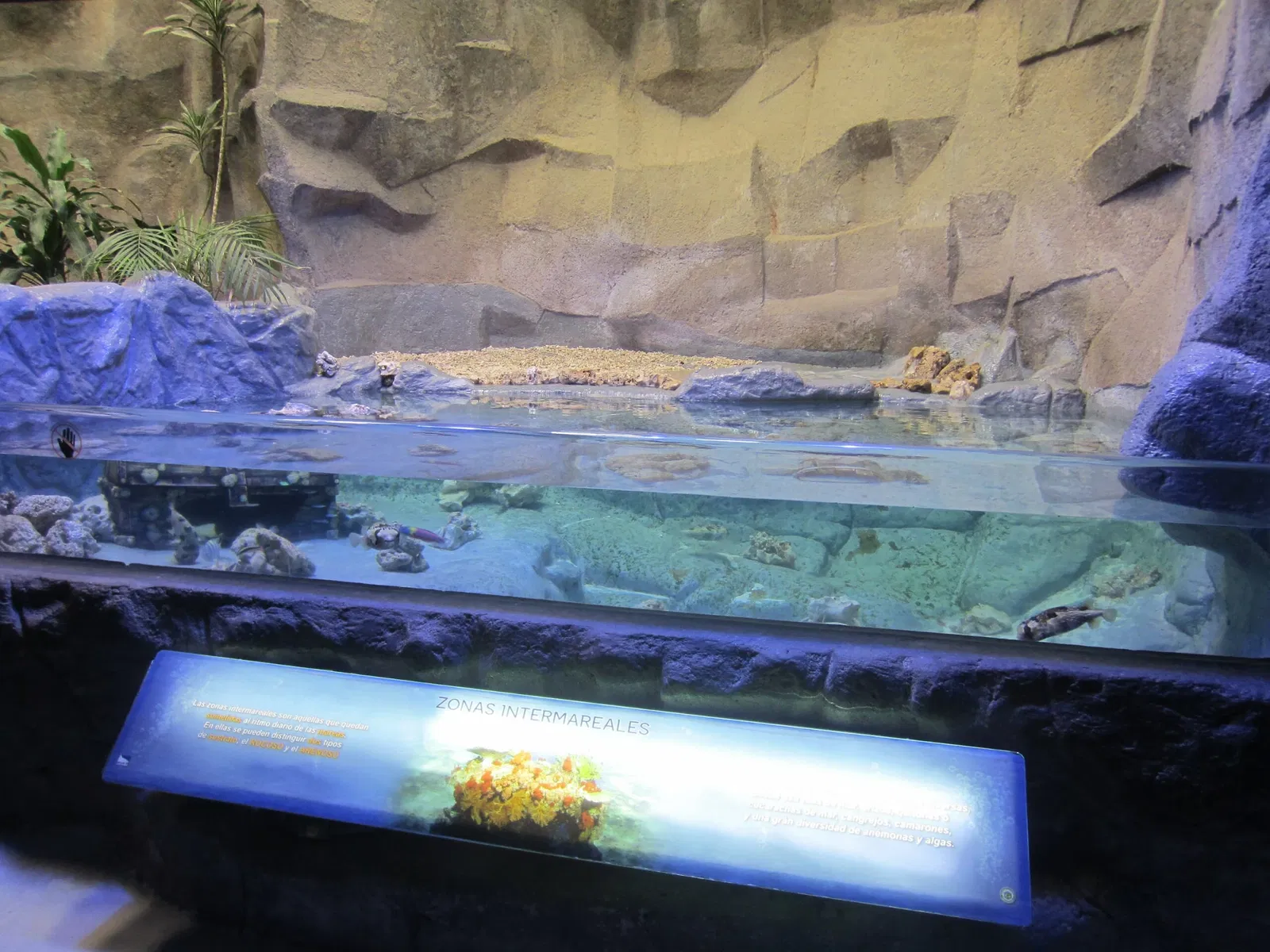 Zoológico Guadalajara