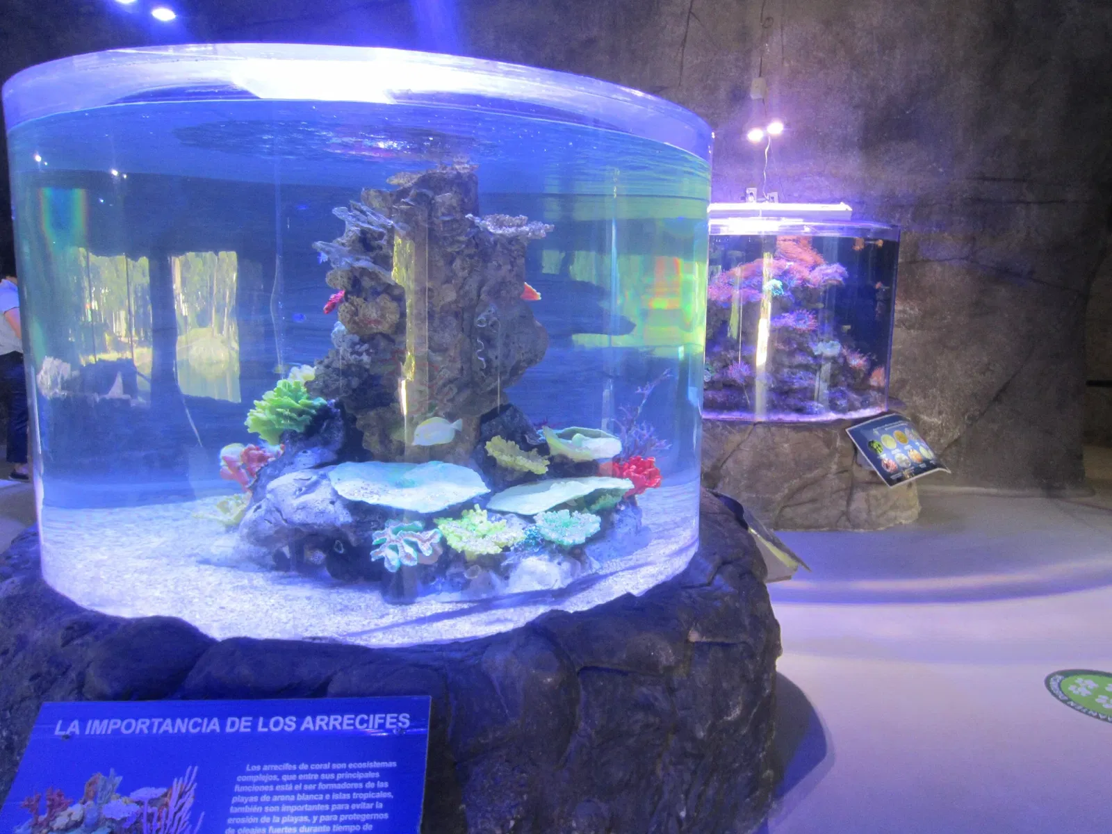 Zoológico Guadalajara