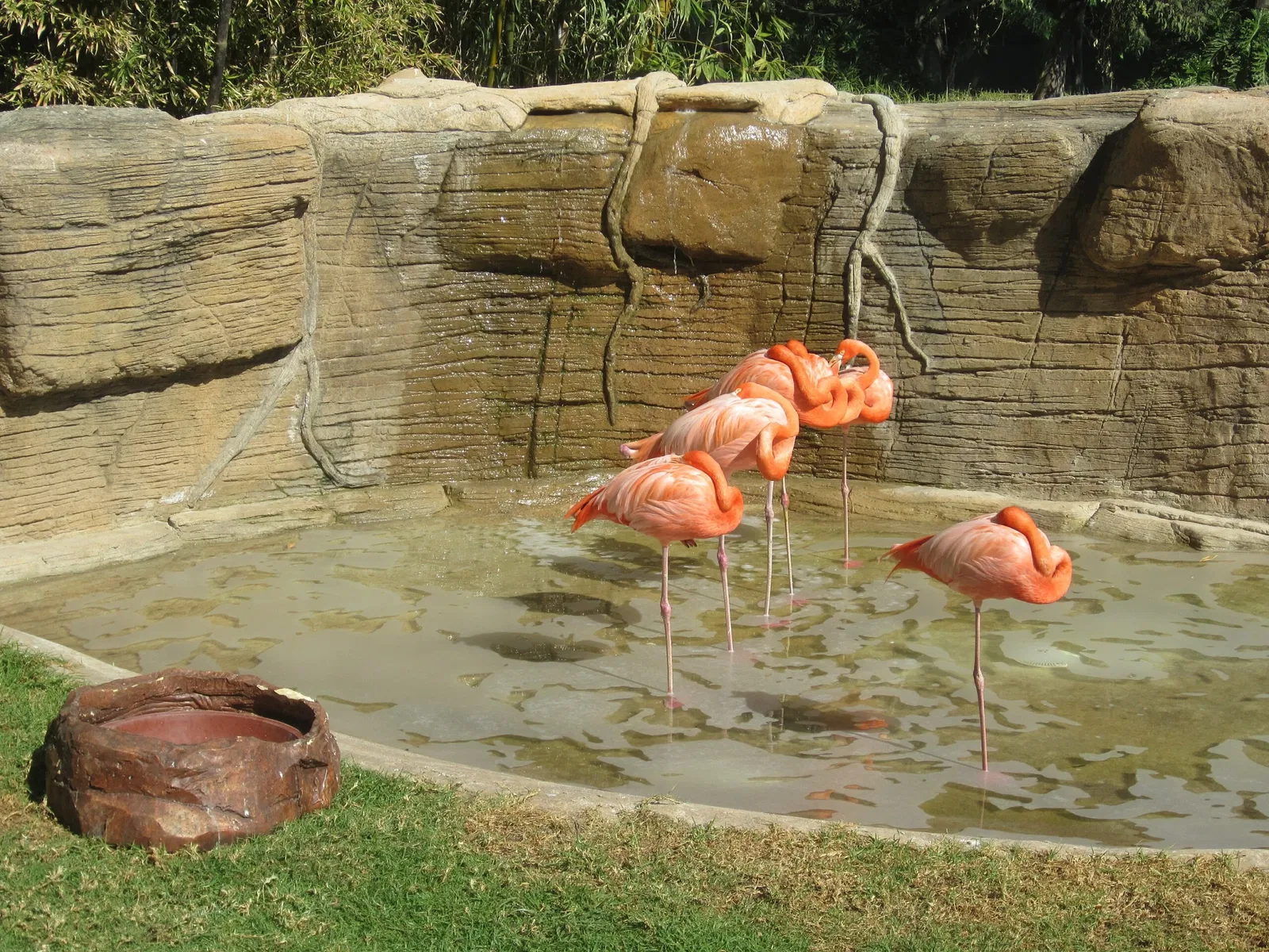 Guadalajara Zoo