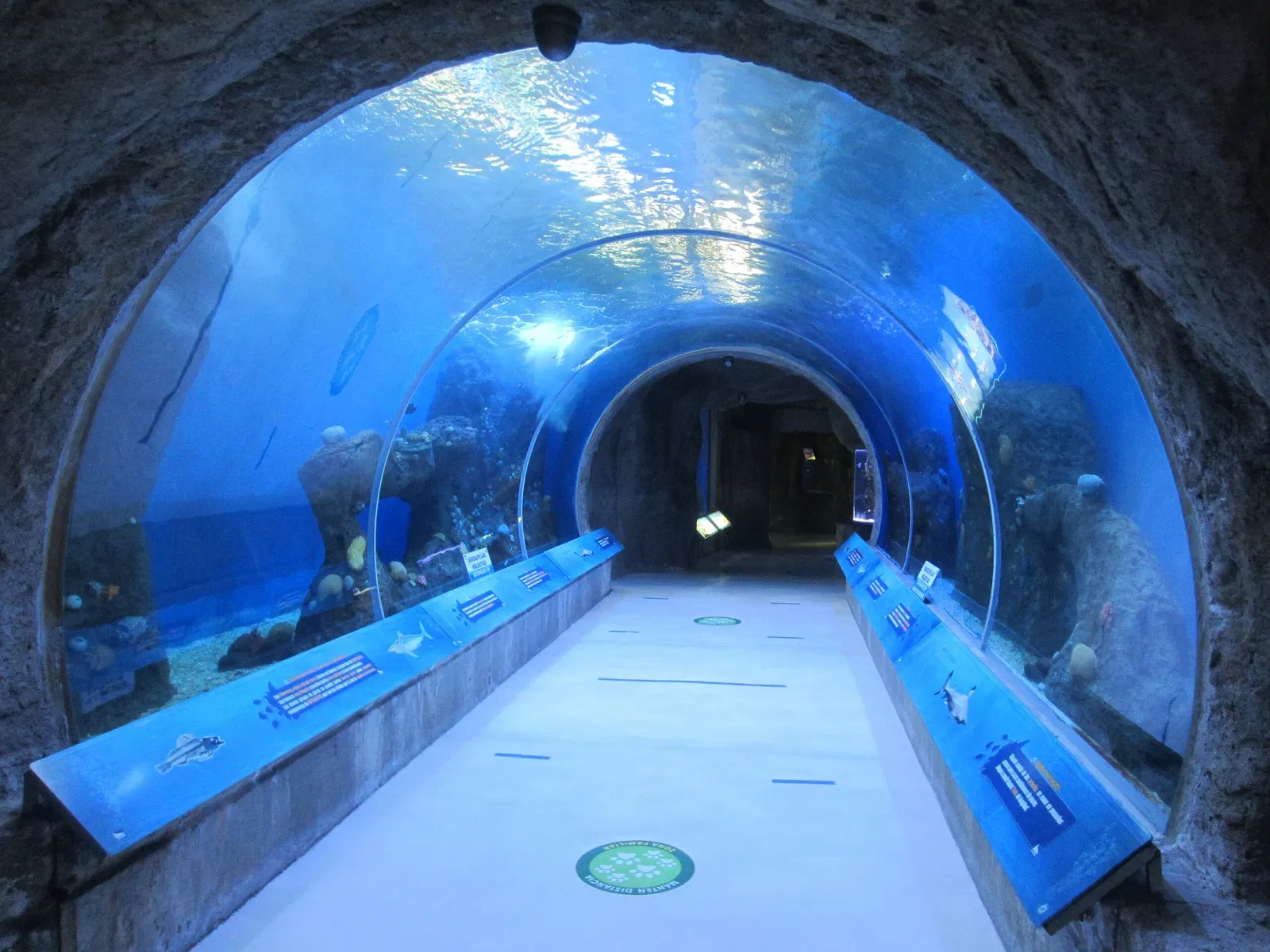 Zoológico Guadalajara