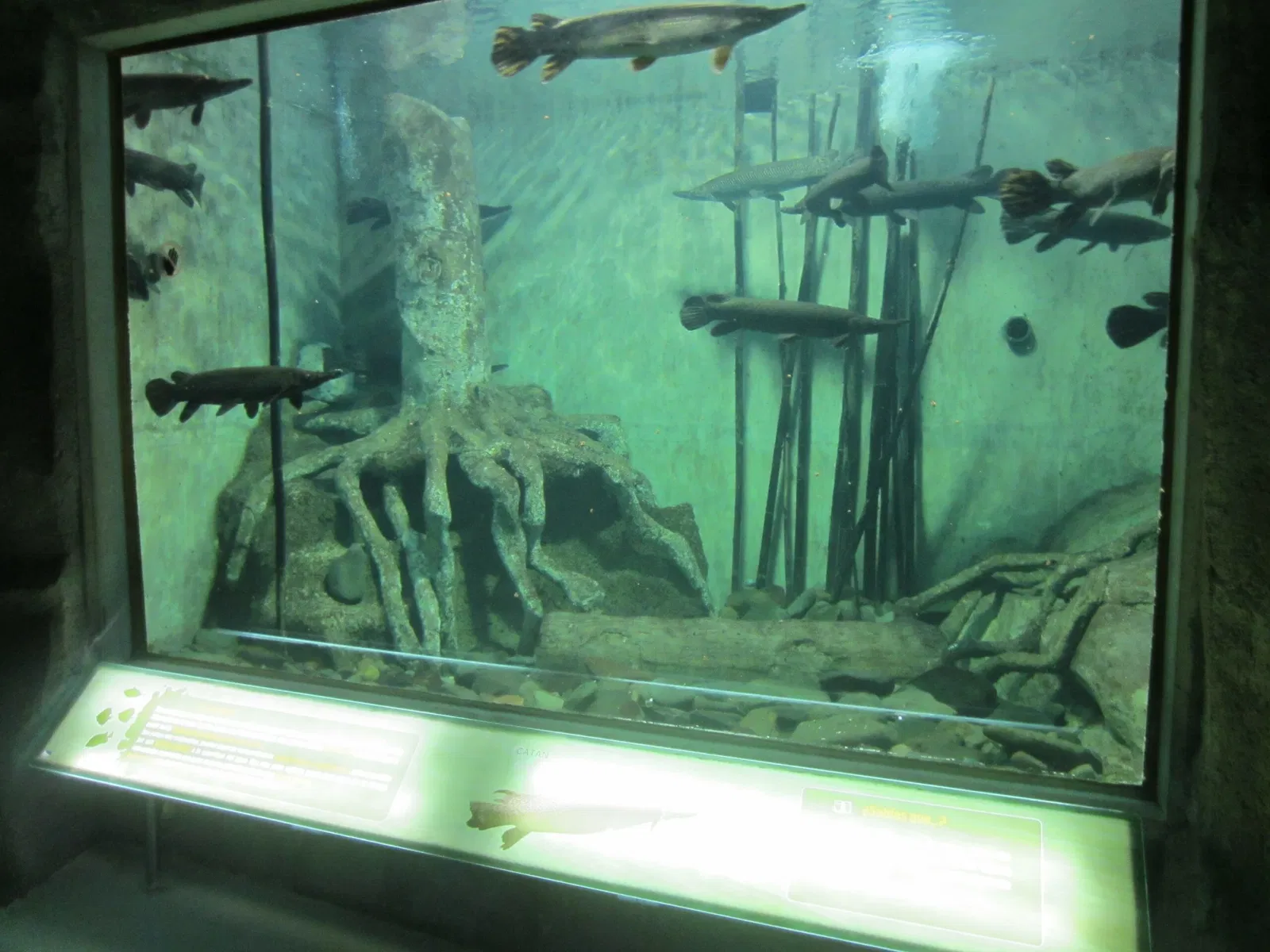 Zoológico Guadalajara