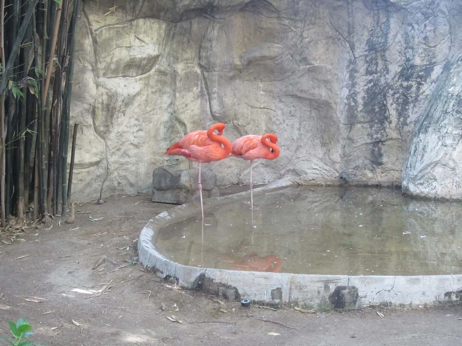 Guadalajara Zoo