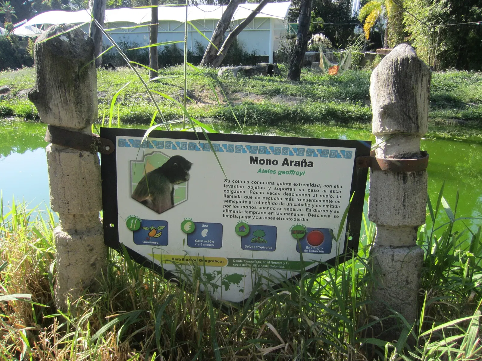 Guadalajara Zoo