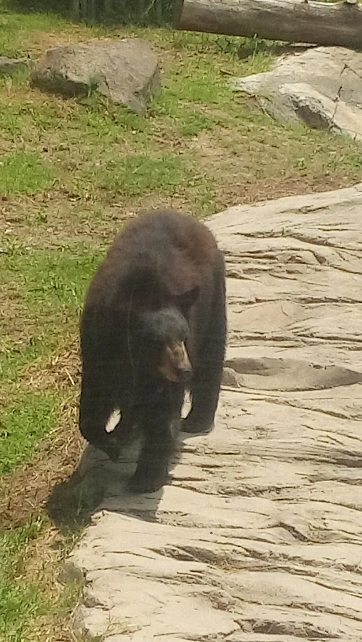 Zoológico Guadalajara
