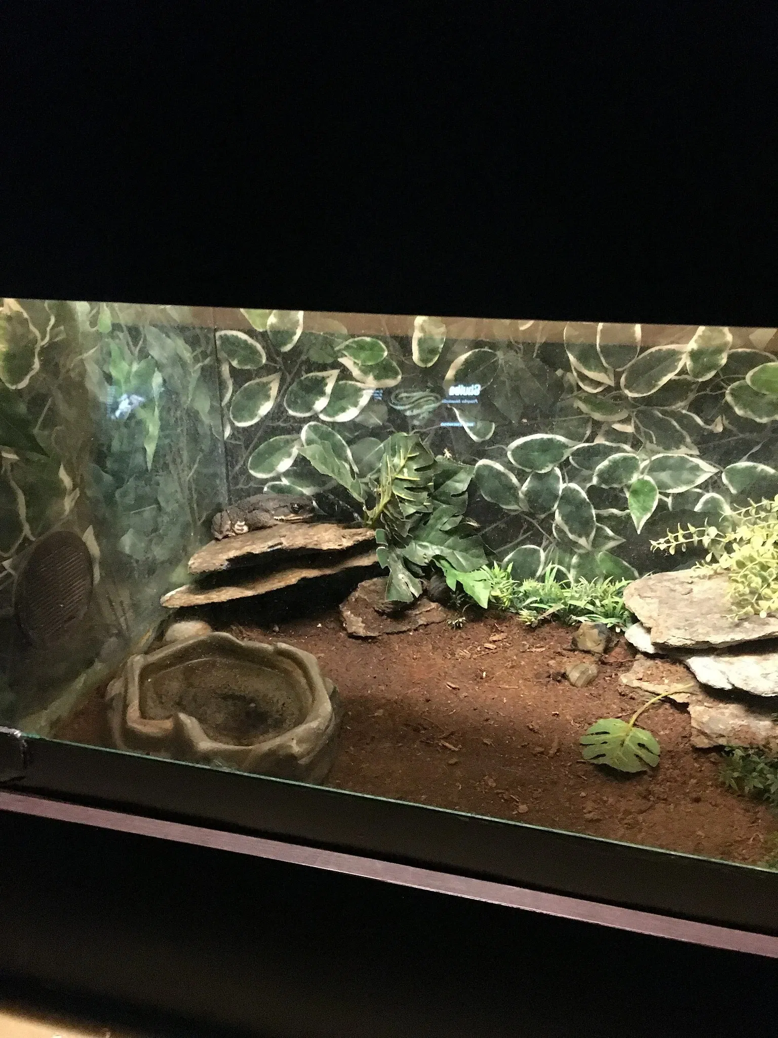 Zoológico de San Juan de Aragón