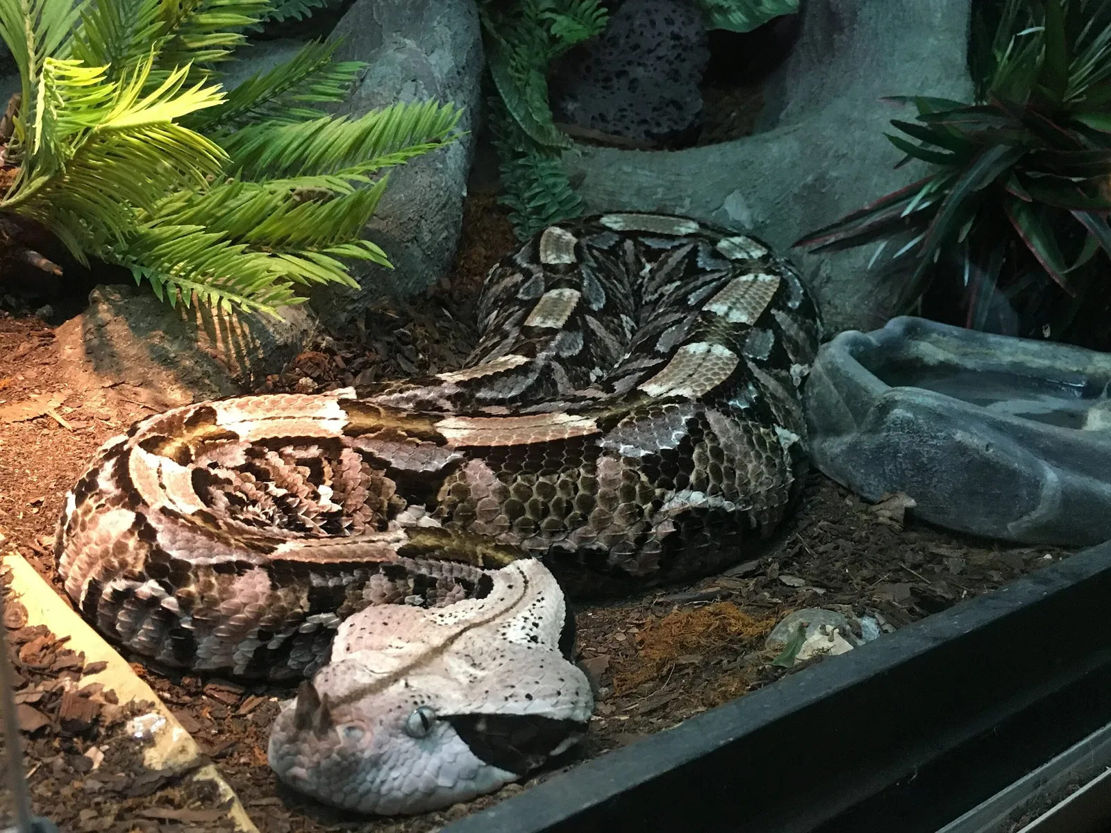 Zoológico de San Juan de Aragón