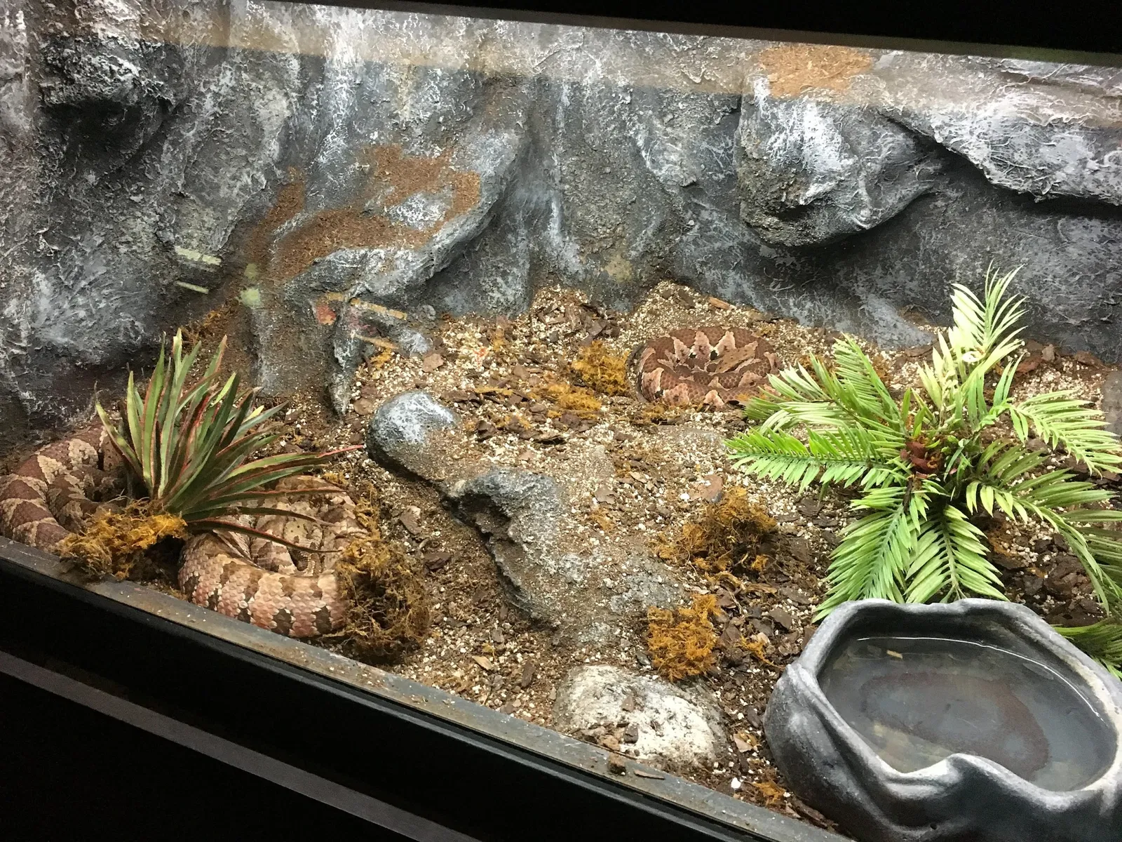 Zoológico de San Juan de Aragón