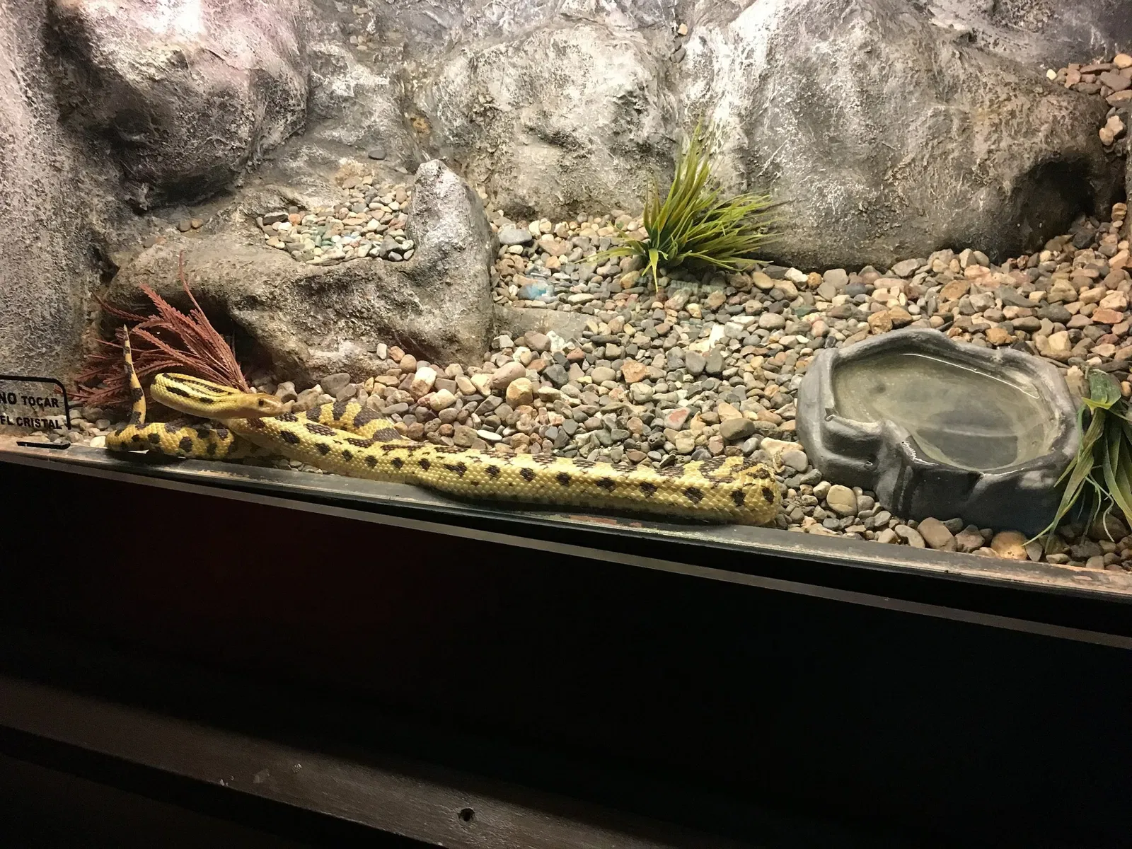 Zoo San Juan De Aragon