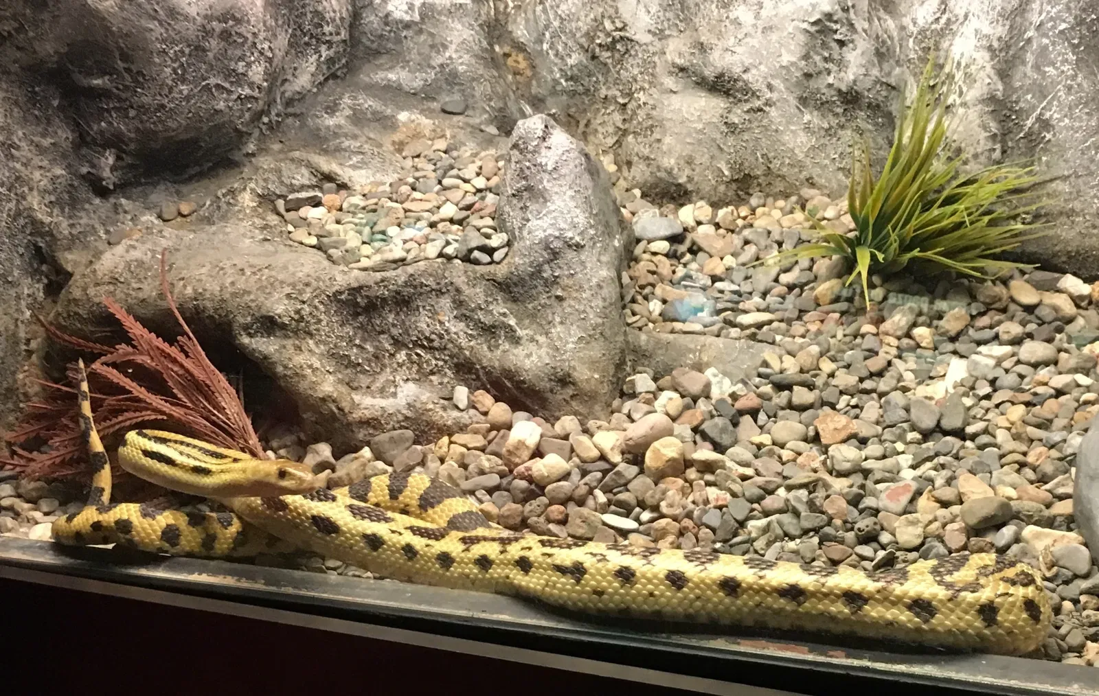 Zoológico de San Juan de Aragón