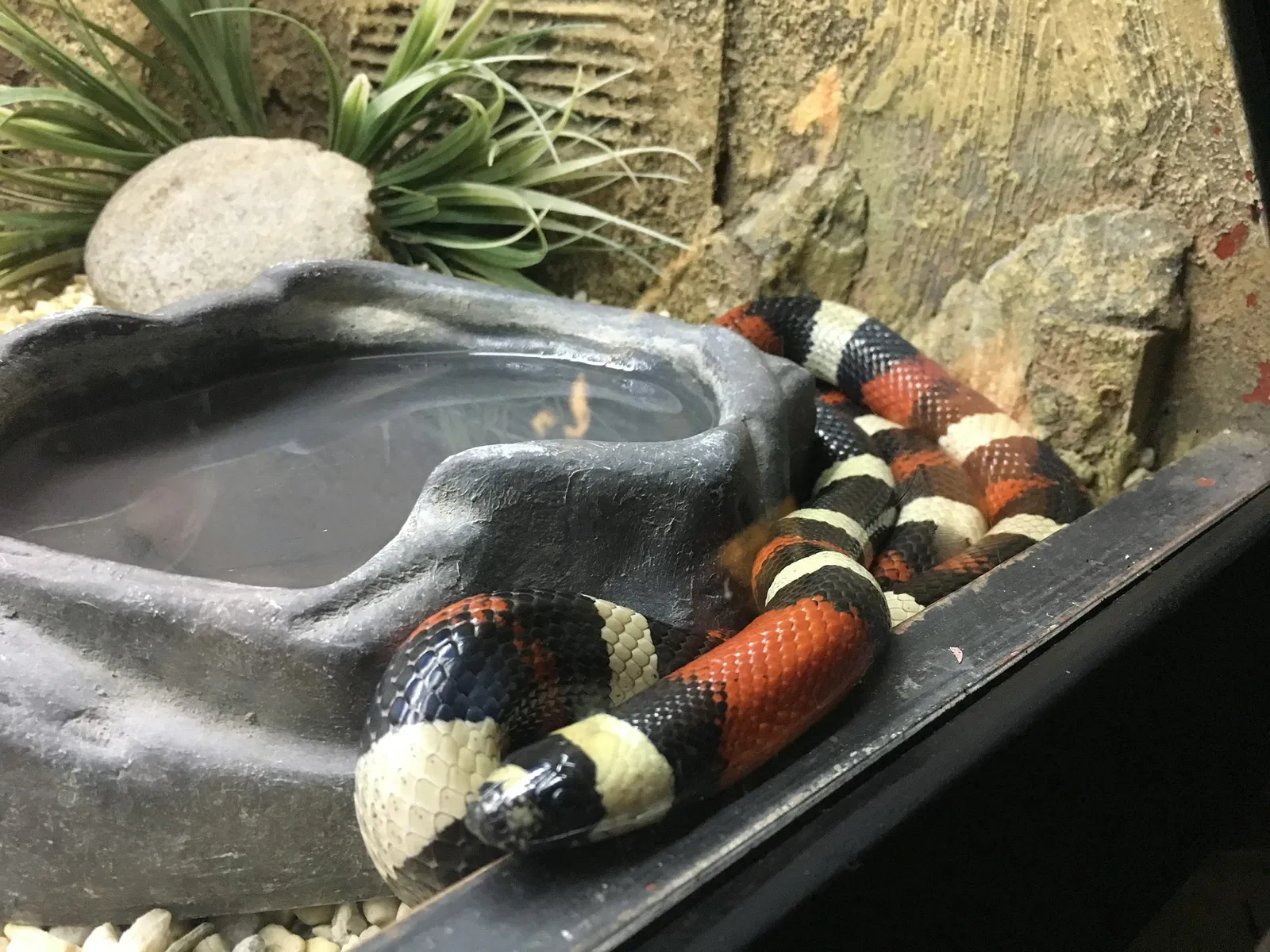 Zoológico de San Juan de Aragón