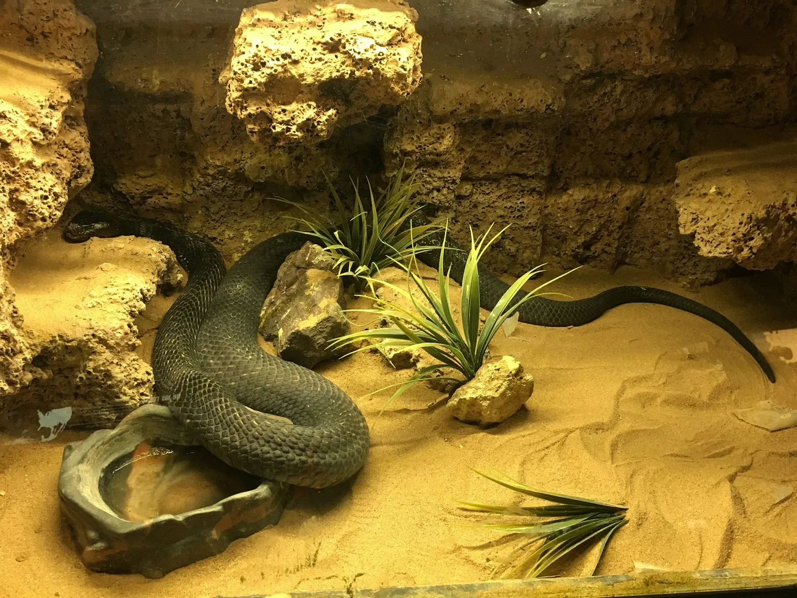 Zoo San Juan De Aragon