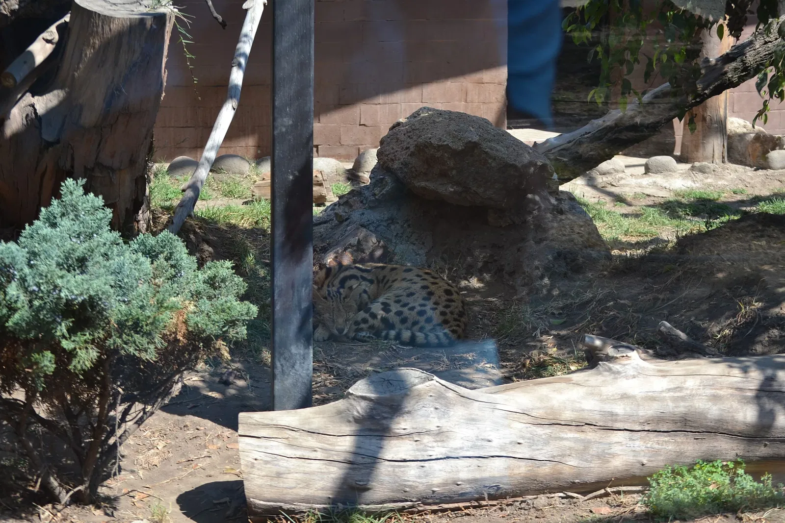 Zoológico de San Juan de Aragón