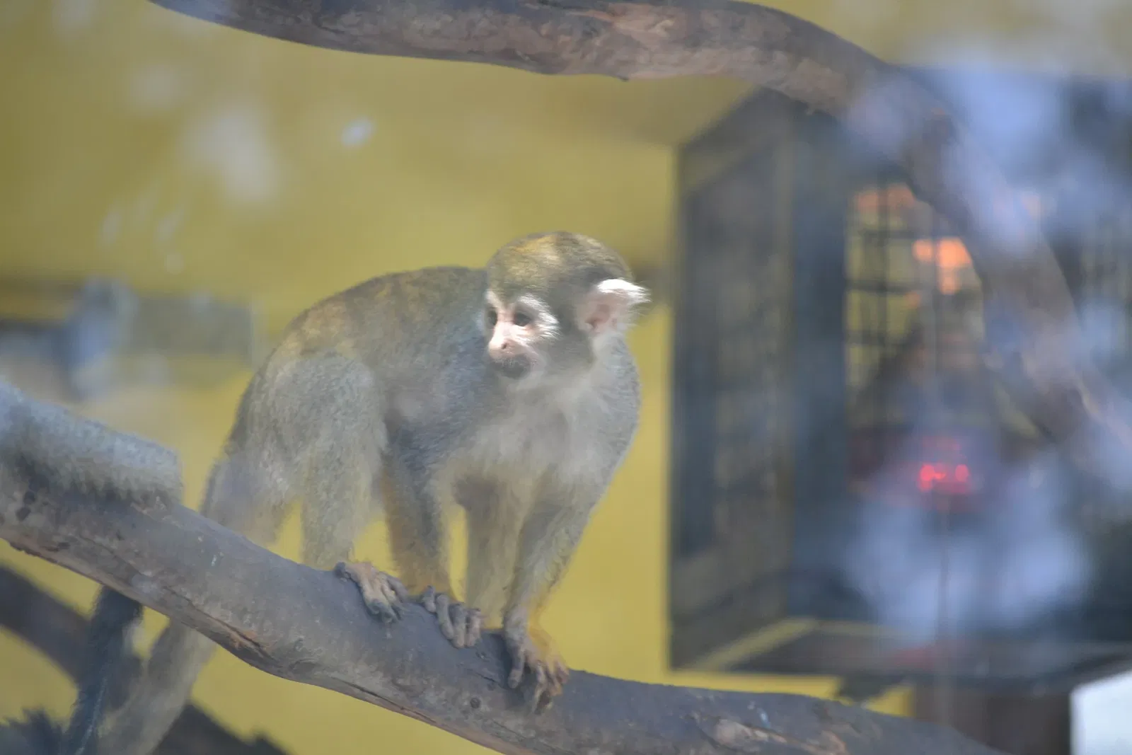 Zoológico de San Juan de Aragón