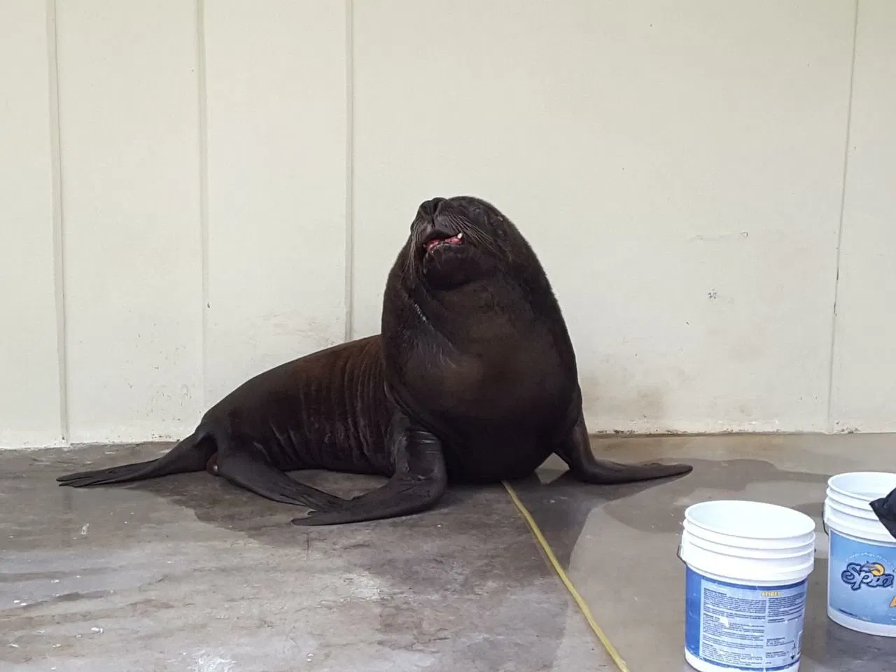 Zoológico de San Juan de Aragón