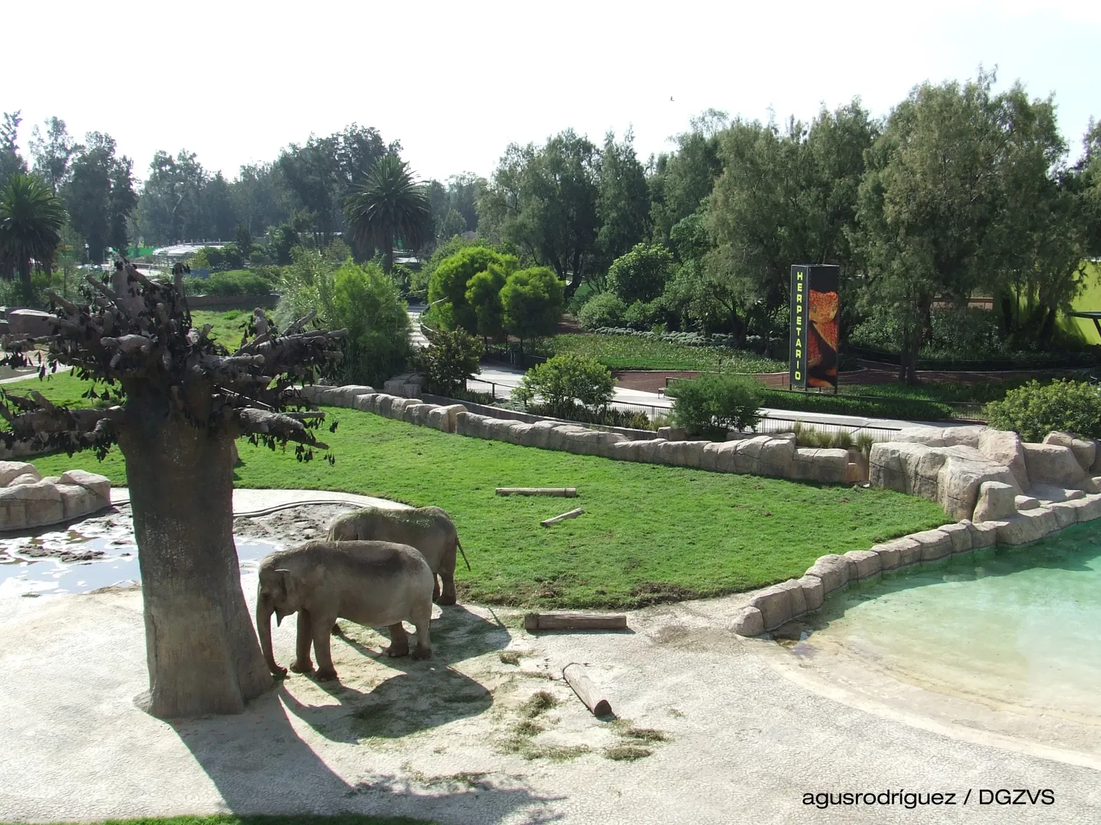 Zoo San Juan De Aragon